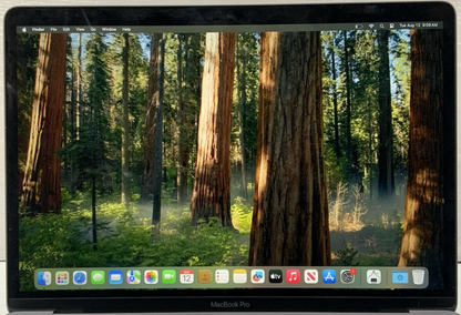 Apple MacBook Pro 13.3" M1 CPU 512GB SSD 16GB RAM Space Gray | MYDA2LL/A, A2338
